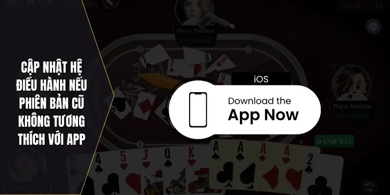 Cập nhật hệ điều hành nếu phiên bản cũ không tương thích với app