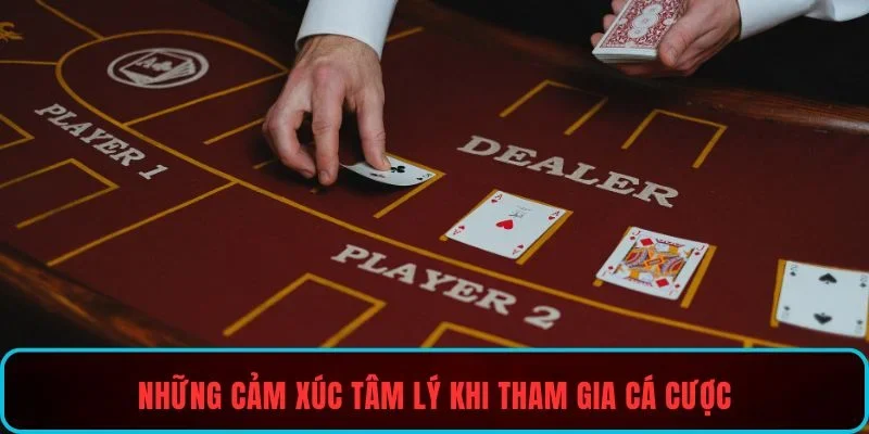 Trải nghiệm người thật giúp cảm xúc thăng hoa